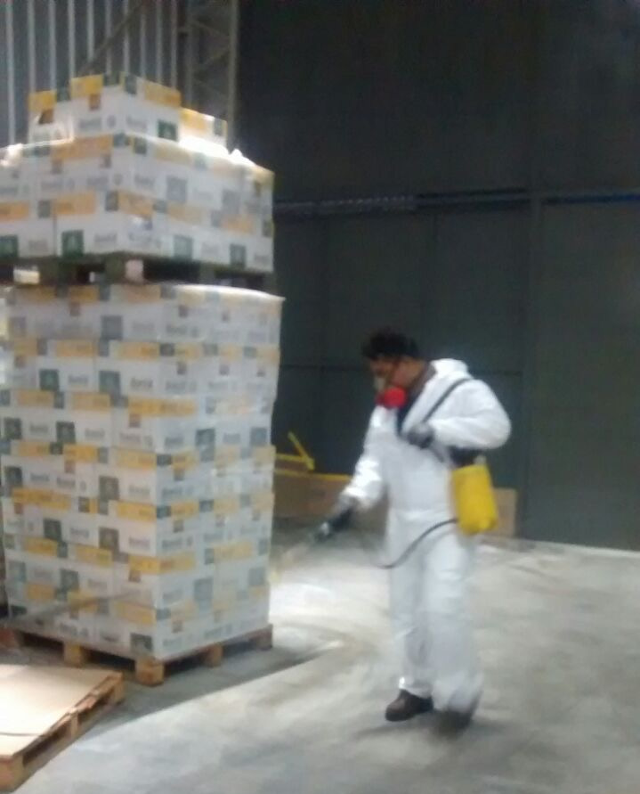 desratizacion